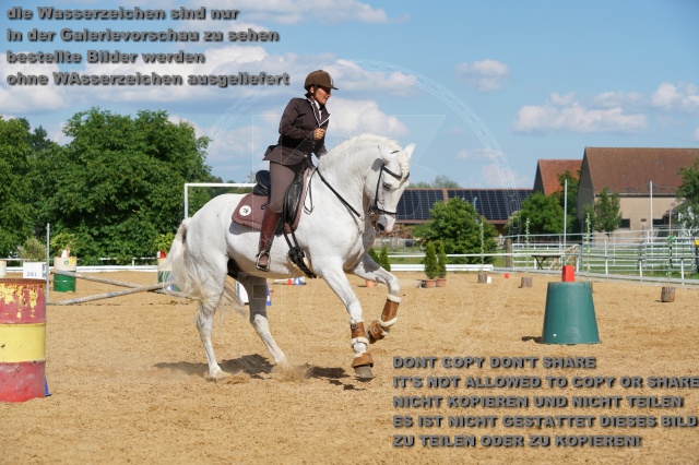 s_K3F07189.JPG